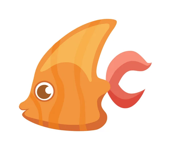 色彩斑斓的热带鱼呈橙色和棕色的平面图例 — 图库照片