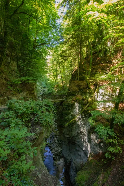 瑞士西部令人印象深刻的峡谷 — 图库照片