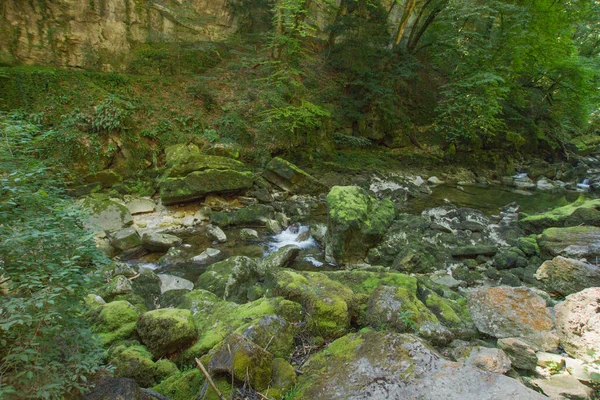 Fiume Nella Foresta Presso Gola Dell Areuse — Foto Stock