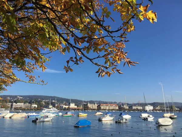 Lago Zurich Con Barcos Día Soleado Otoño — Foto de Stock