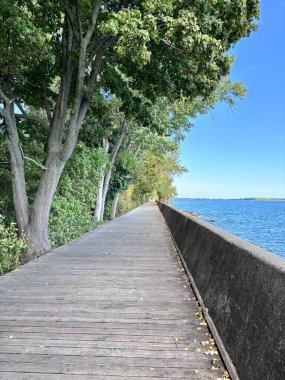 Toronto Adası 'nda yürüyüş yolu Güzel bir günde