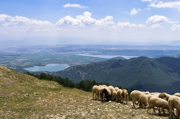 Increíble vista desde el pueblo de Nimfaio, hasta el valle, en Florina, Grecia — Foto de Stock