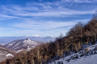 Dağ manzarası içinde Vigla, Florina'nın Kayak Merkezi, Yunanistan