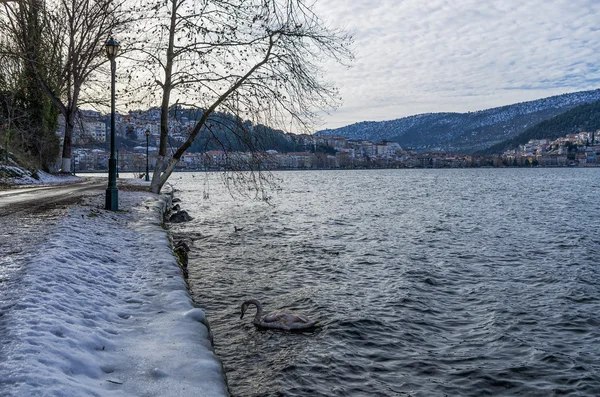 Inverno in riva al lago a Kastoria, Grecia — Foto Stock