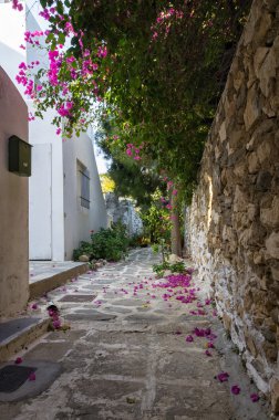 Yunanistan 'ın Paros Adası' ndaki Sokak