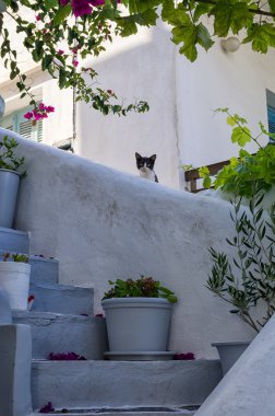 Paros Island, Kiklad Adaları, Yunanistan bir evin mimari detay