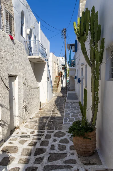 Yunanistan 'ın Paros Adası' ndaki Sokak — Stok fotoğraf