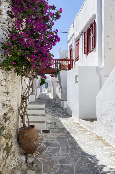 Sokak Sifnos Island, Kiklad Adaları, Yunanistan — Stok fotoğraf