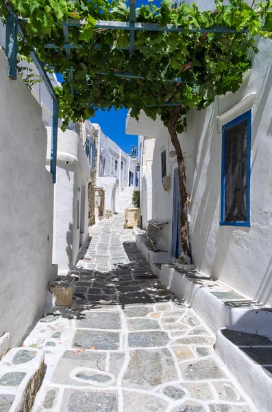 Calle en sifnos island, Cícladas, Grecia — Foto de Stock