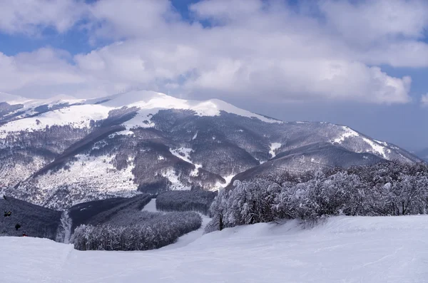 Horská krajina v Vigla, lyžařské středisko je Florina, Řecko — Stock fotografie