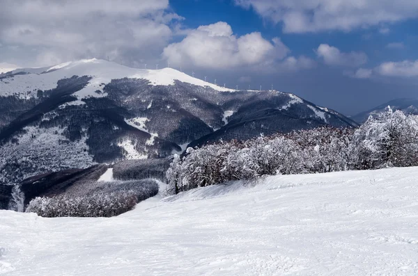 Paisagens montanhosas em Vigla, centro de esqui de Florina, Grécia — Fotografia de Stock