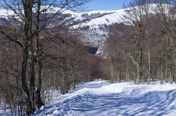 Paisajes de montaña en Vigla, centro de esquí de Florina, Grecia — Foto de Stock