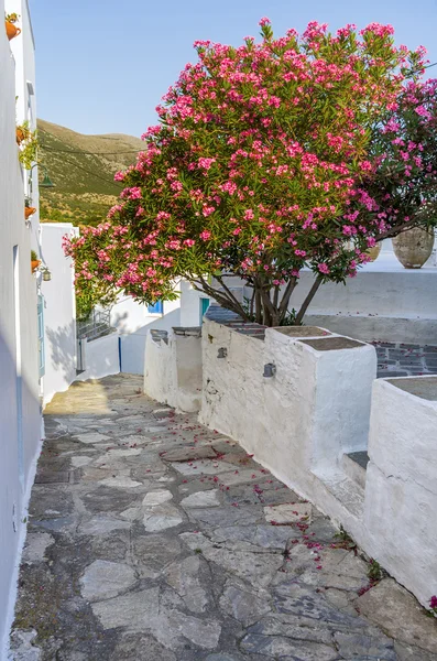 Ulica w Sifnos island, Cyklady, Grecja — Zdjęcie stockowe