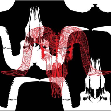 Kafatasları kusursuz. Büyük boynuzlu koç kafatası. Erkek, kaba bir model. Meditasyon modeli. Noktalar, çizgiler, yün.