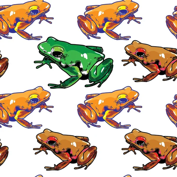 有毒蛙的图案无缝图案 明亮的夏季图案 手绘的色彩艳丽的可爱青蛙 五彩斑斓的图案热带青蛙 — 图库矢量图片