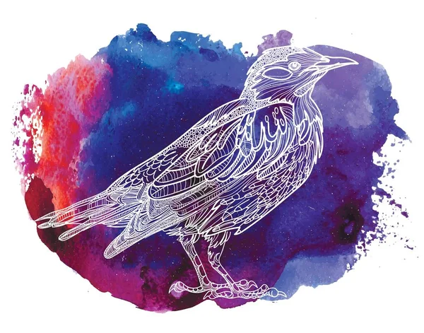 Starling Uccello Maculato Schema Etnico Colorazione Meditativa Mandala Disegno Ottuso — Vettoriale Stock