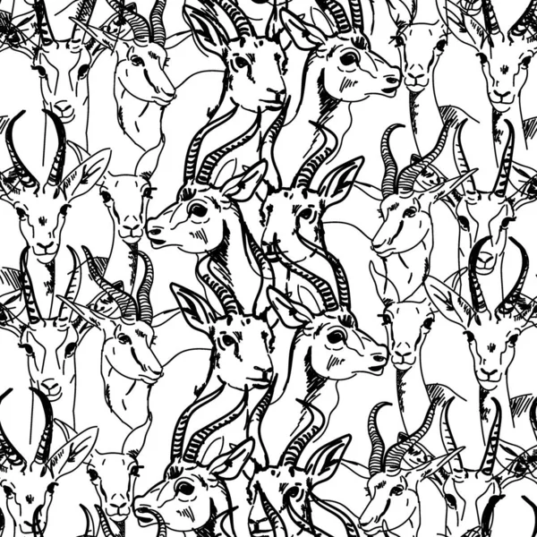 Бесшовная Связь Антилопой Джейран Животные Африканцы Стильный Рисунок Образец Животными — стоковый вектор