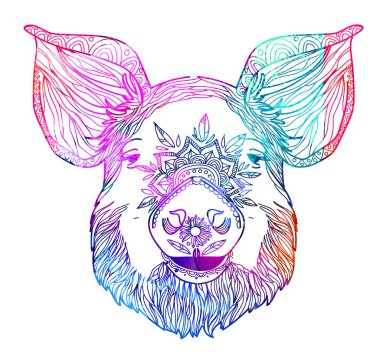 Domuz yavrusu. Boyama kitabı karalıyorum. Detaylı bir çizim. Meditasyon renkleri. Noktalar, vuruşlar, desenler.