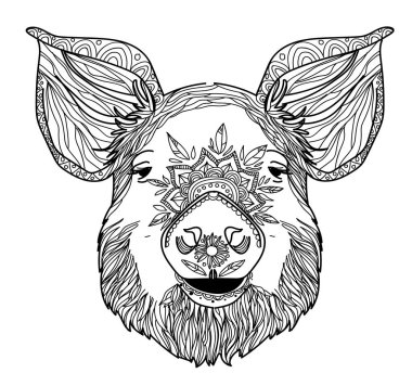 Domuz yavrusu. Boyama kitabı karalıyorum. Detaylı bir çizim. Meditasyon renkleri. Noktalar, vuruşlar, desenler.