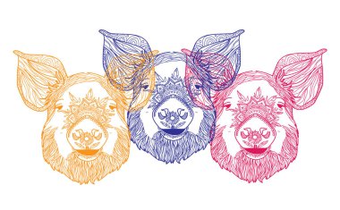 Domuz yavrusu. Boyama kitabı karalıyorum. Detaylı bir çizim. Meditasyon renkleri. Noktalar, vuruşlar, desenler.