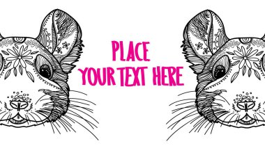 Çinçilla geçmişi. Renklendirme, meditasyon renkleri. Desenler, noktalar, çizgiler. Sevimli hayvanlar..