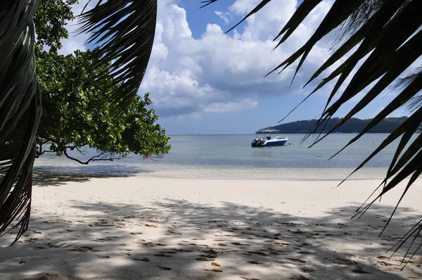 Playa Exótica Con Palmeras Isla Praslin Seychelles —  Fotos de Stock