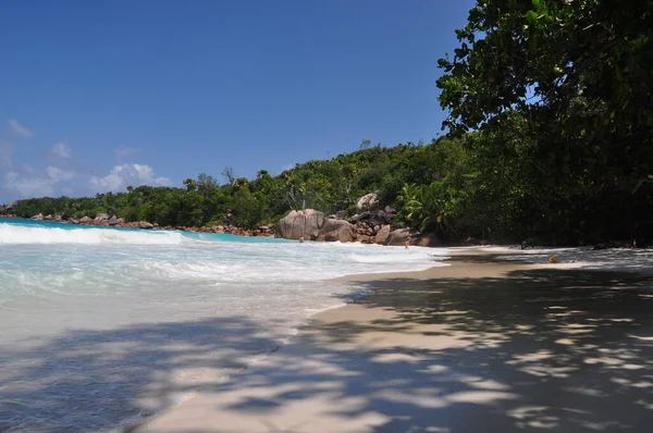 Egzotyczna Plaża Palmami Wyspie Praslin Seszele — Zdjęcie stockowe