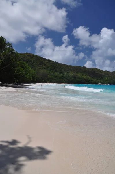 Экзотический Пляж Пальмами Острове Ислин Сейшельские Острова — стоковое фото