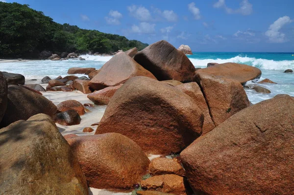 Playa Exótica Con Palmeras Isla Praslin Seychelles — Foto de Stock