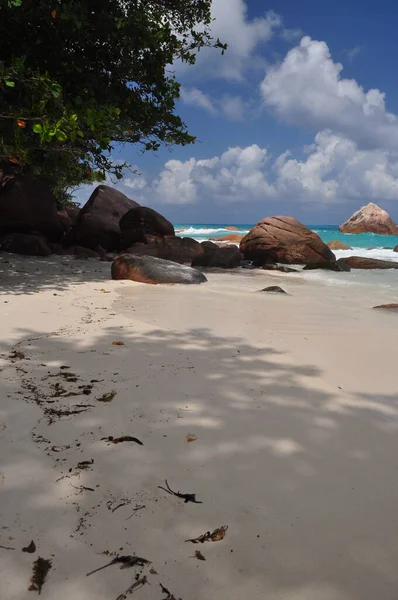 Екзотичний Пляж Пальмами Острові Праслін Сейшельські Острови — стокове фото
