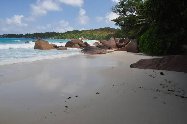 Exotischer Strand Mit Palmen Auf Der Insel Praslin Seychellen — Stockfoto