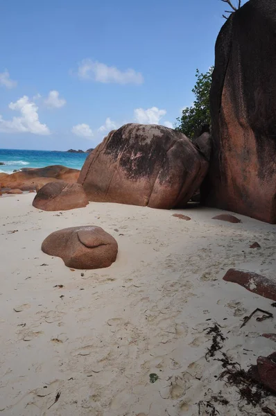 Playa Exótica Con Palmeras Isla Praslin Seychelles — Foto de Stock