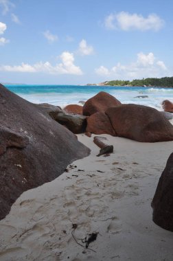 Praslin Adası, Seyşeller 'de palmiye ağaçları olan egzotik bir sahil.