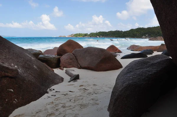 Spiaggia Esotica Con Palme Nell Isola Praslin Seychelles — Foto Stock