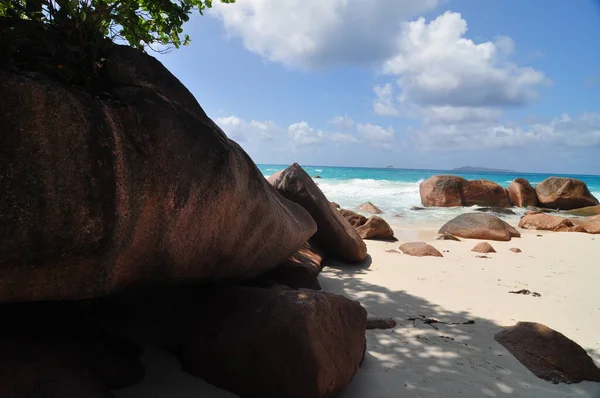 Playa Exótica Con Palmeras Isla Praslin Seychelles — Foto de Stock