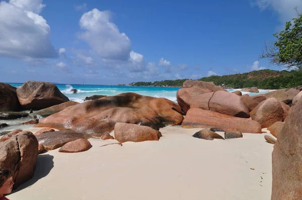 Playa Exótica Con Palmeras Isla Praslin Seychelles — Foto de Stock