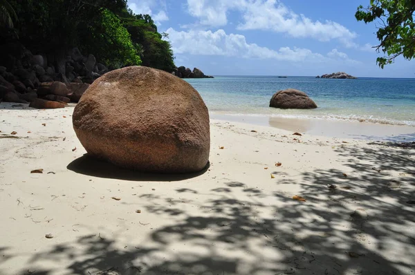 Playa Exótica Con Palmeras Isla Praslin Seychelles — Foto de Stock