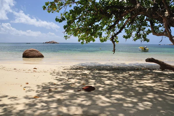 海底捞岛的异国海滩 有棕榈树 — 图库照片
