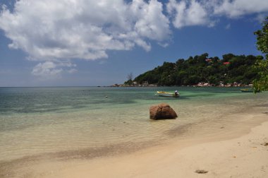 Praslin Adası, Seyşeller 'de palmiye ağaçları olan egzotik bir sahil.