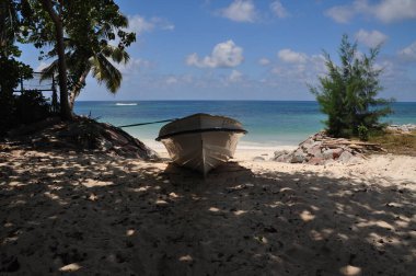 Praslin Adası, Seyşeller 'de palmiye ağaçları olan egzotik bir sahil.