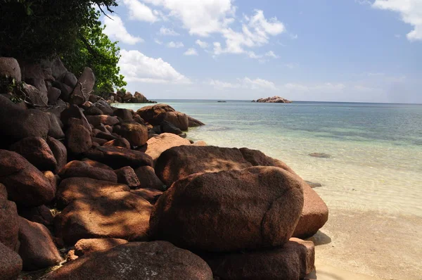 Egzotyczna Plaża Palmami Wyspie Praslin Seszele — Zdjęcie stockowe