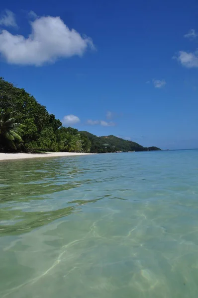 Exotisk Strand Med Palmer Praslin Seychellerna — Stockfoto