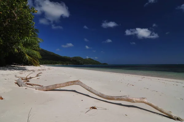 Exotisch Strand Met Palmbomen Het Eiland Praslin Seychellen — Stockfoto