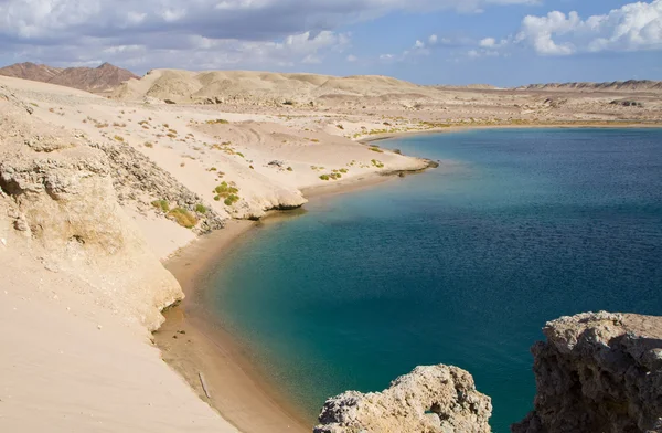 Baía de tartaruga em sharm el sheikh Imagem De Stock