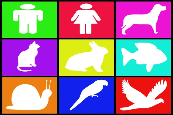Collection of various symbols — Stock Photo, Image