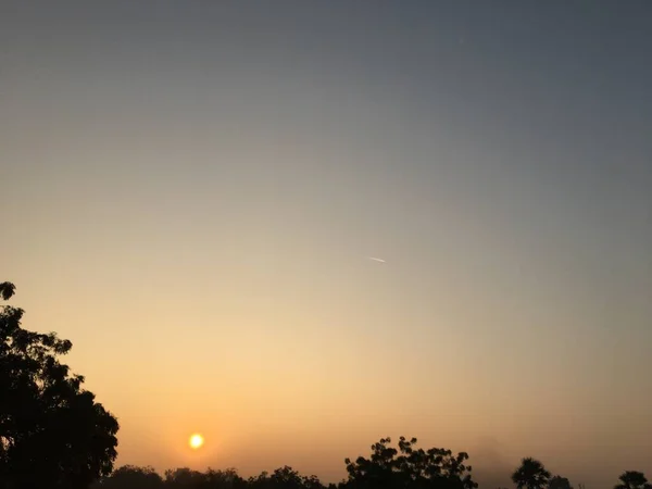 Alba Cielo Blu Alberi — Foto Stock