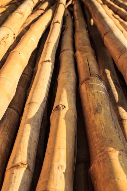 Kurutulmuş bambu sapları incedir..