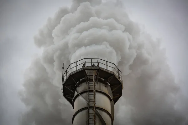 Meerdere Biomassacentrales Uit Rietpulp Vernietigen Schoorstenen Emit Carbon Dioxide Pollution — Stockfoto