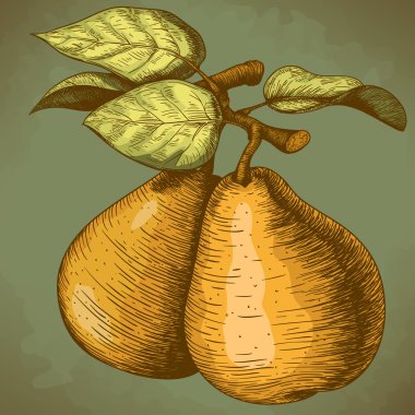 armut ve yaprak, dal üzerinde oyma