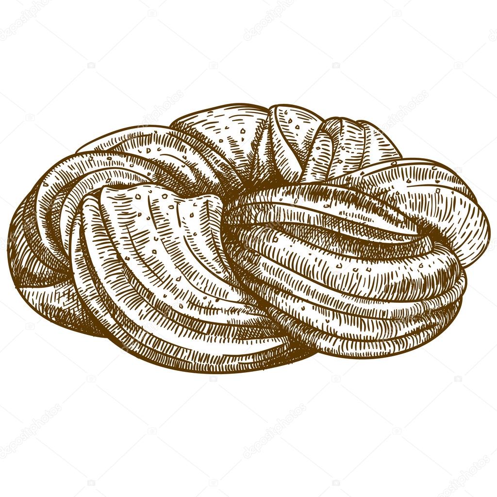 engraving bun on white background